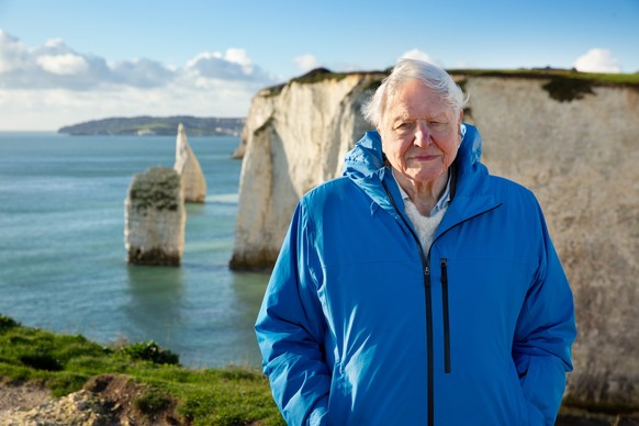 David Attenborough stands at the coast in Southern England. (Credit: Silverback Films and Open Planet Studios/Keith Scholey)