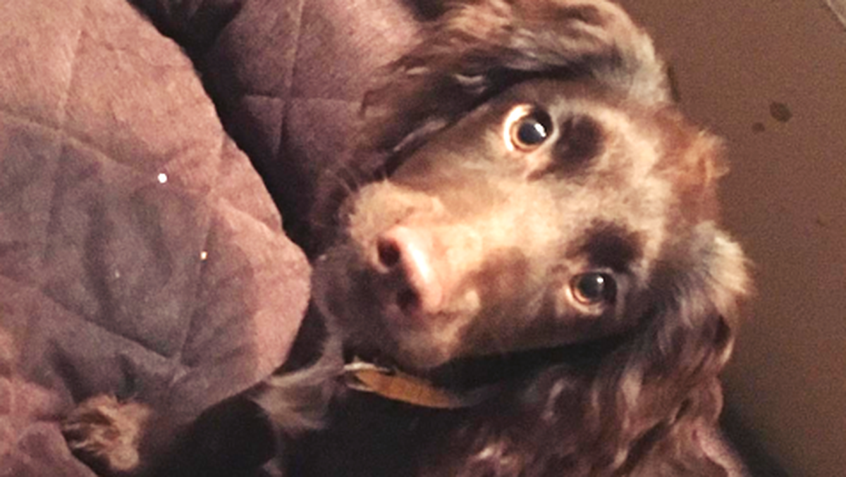 Jööö <3