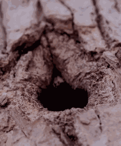 Animiertes GIF
