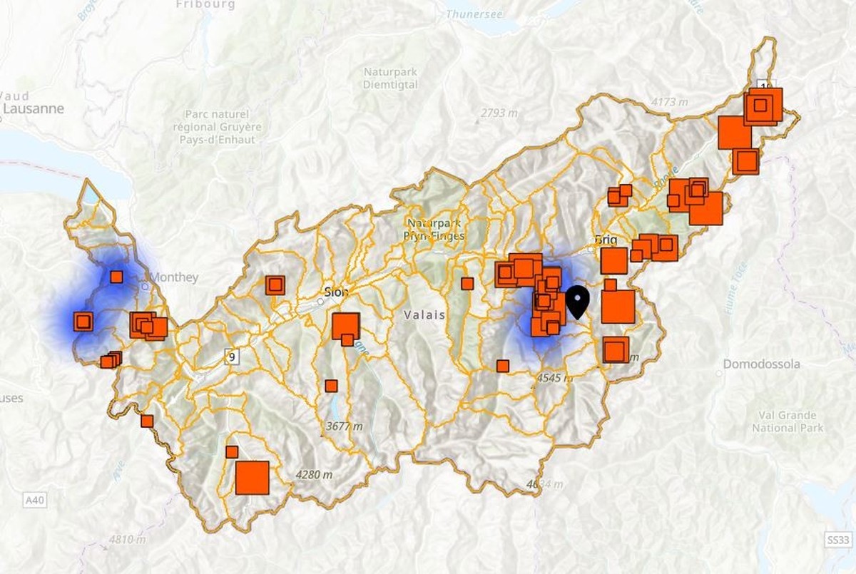 Wolfsriss-Monitoring im Kanton Wallis