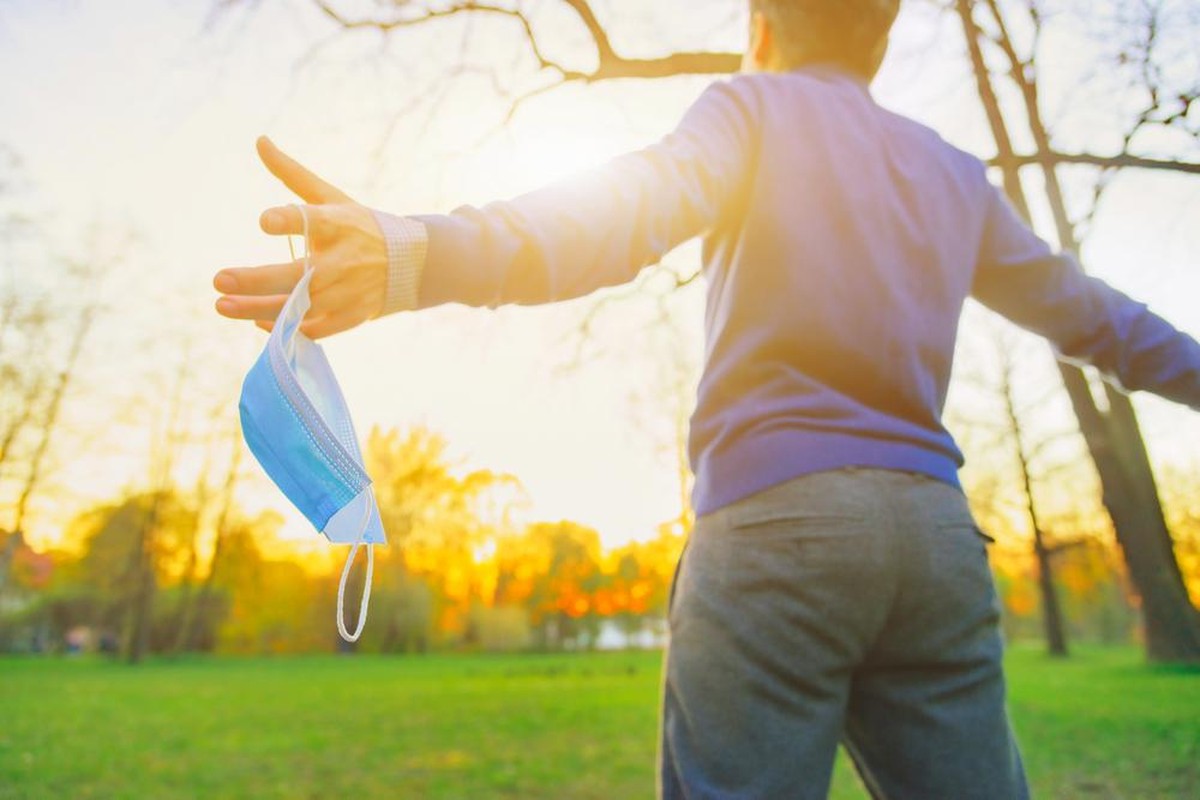 Bild