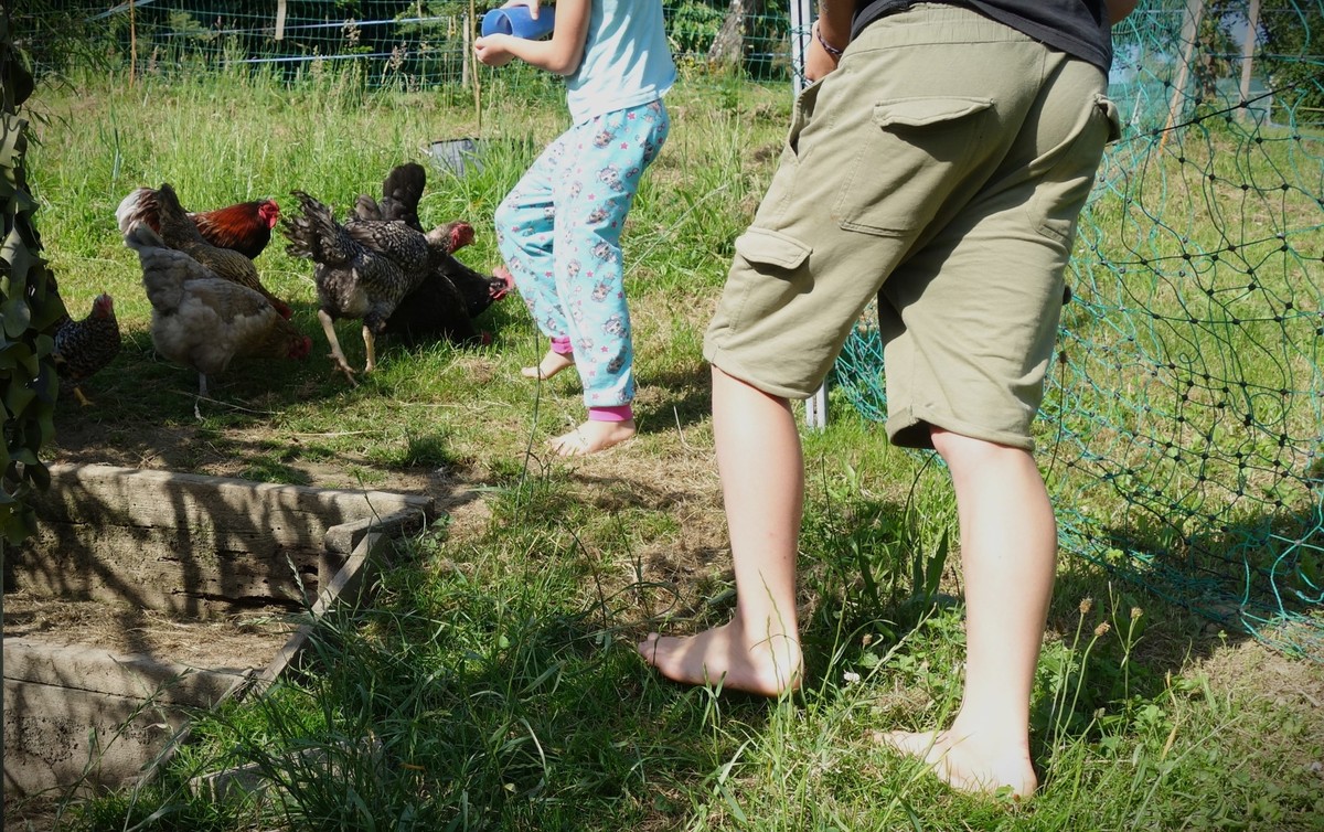 Homeschooling - wie es funktioniert und ob die Kinder gleich viel lernen und soziale Kontakte haben, zeigt ein Besuch bei einer Aargauer Familie.