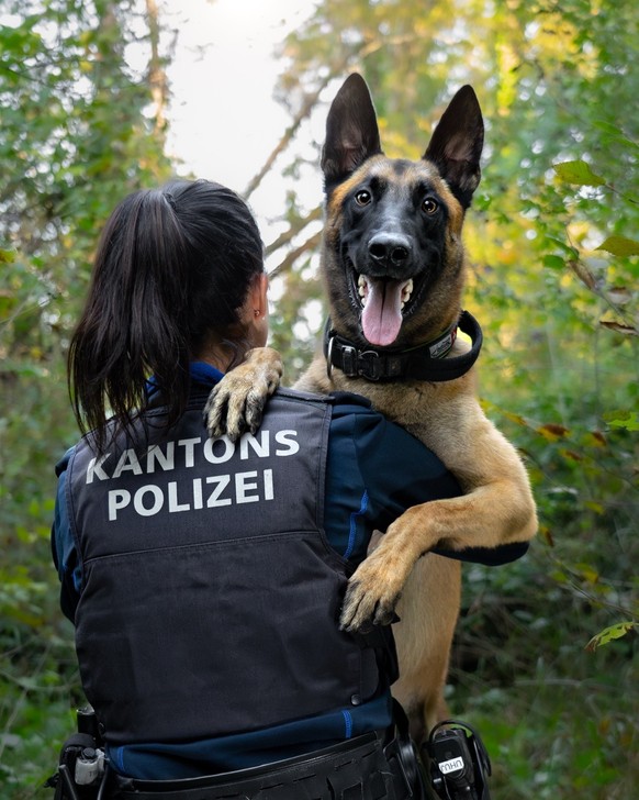 Polizeihund Polizei Hund Kantonspolizei Aargau Malouk