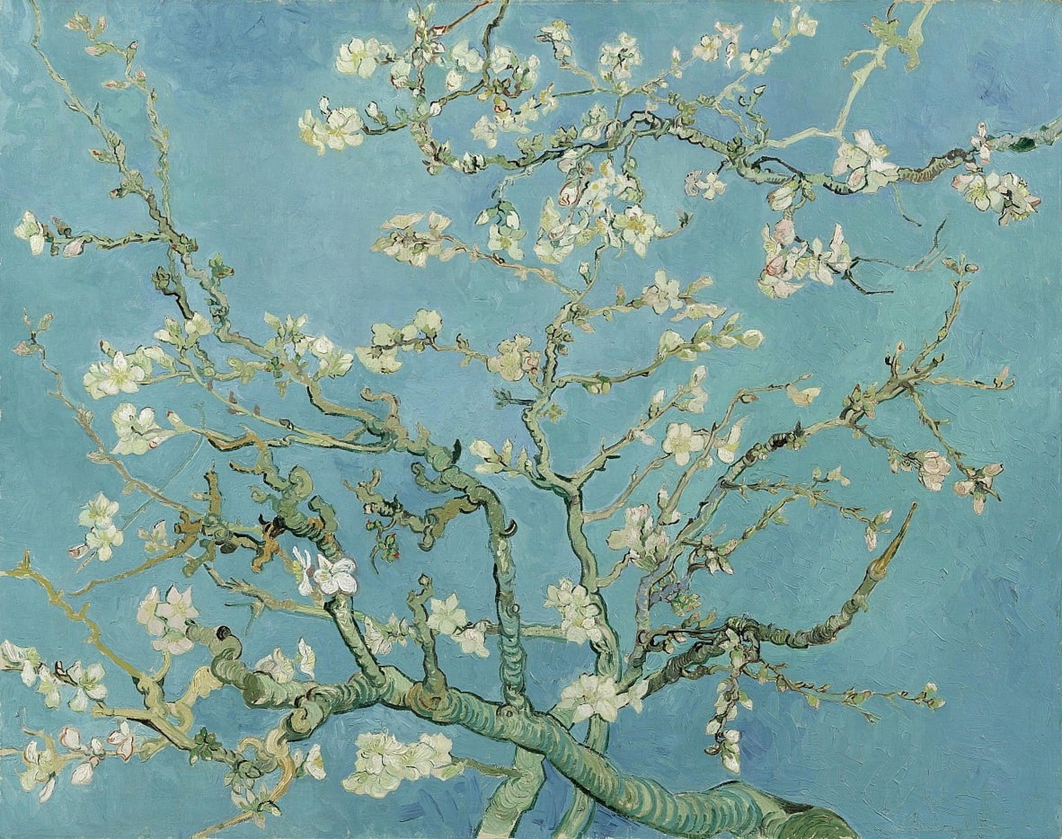Almond blossom painted by Van Gogh for his cousin Vincent