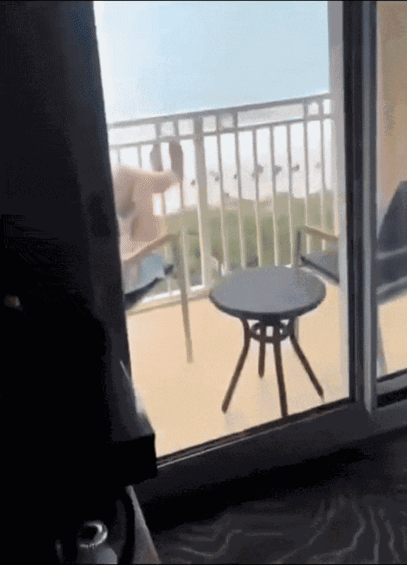 Animiertes GIF