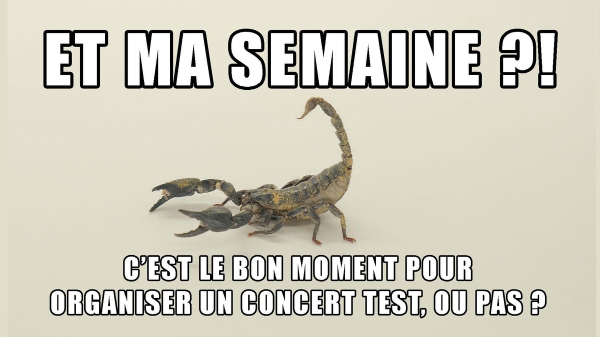 Scorpion, Horoscope, Concert, Test