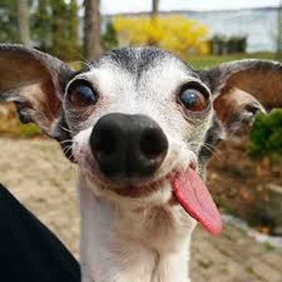 Das Weekend ist fast da! Doch vorher gibt's noch Cute News
Mehr nicht.