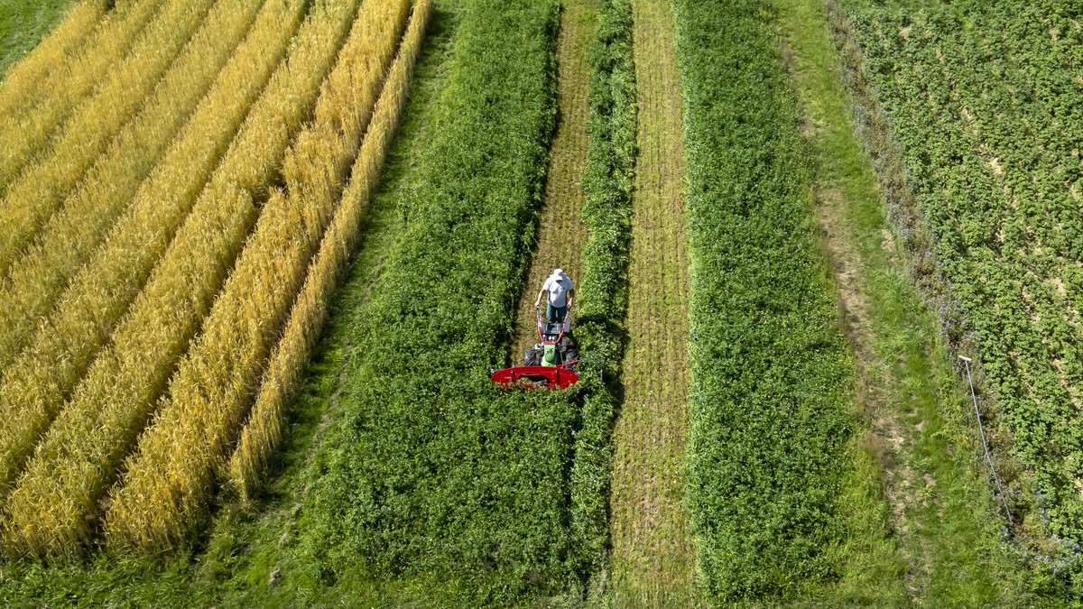 Um-die-Ertr-ge-bei-Bio-zu-steigern-braucht-es-unseren-Urin