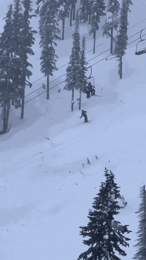Animiertes GIF