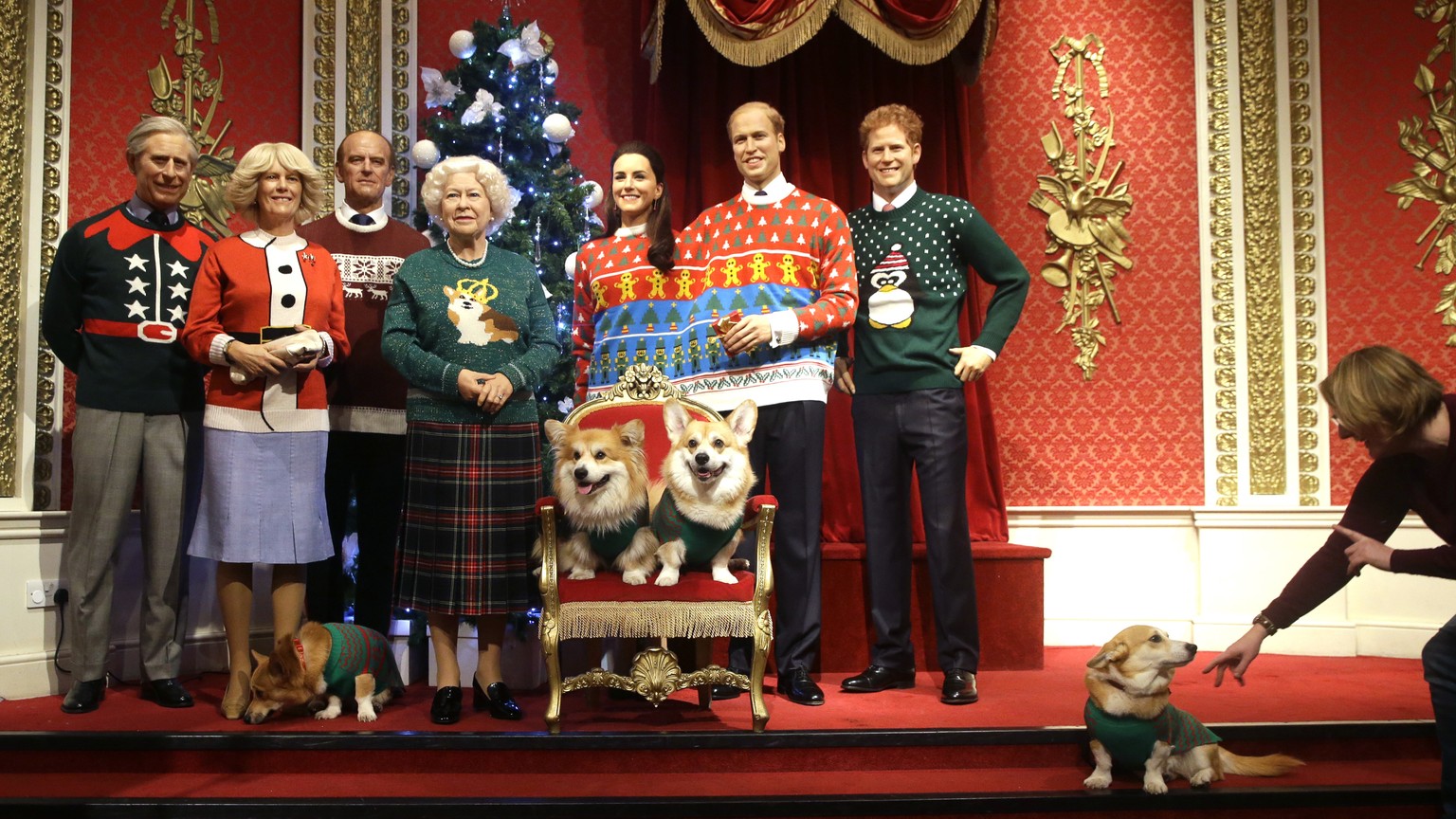 A dog owner tells her Pembrokeshire Welsh Corgi to &#039;stay&#039; as four Corgi dogs pose next to wax work models of the British Royal family wearing colorful Christmas themed jumpers for a charity  ...