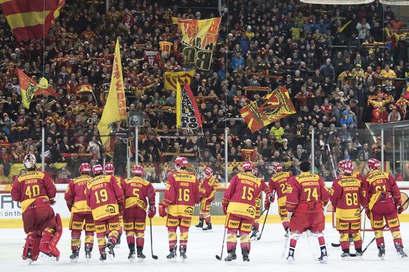 Die Tigers Spieler jubeln mit den Fans nach dem Eishockey National League A Spiel zwischen den SCL Tigers und dem SC Bern, am Samstag, 7. Januar 2017, in der Ilfishalle in Langnau. (KEYSTONE/Marcel Bi ...