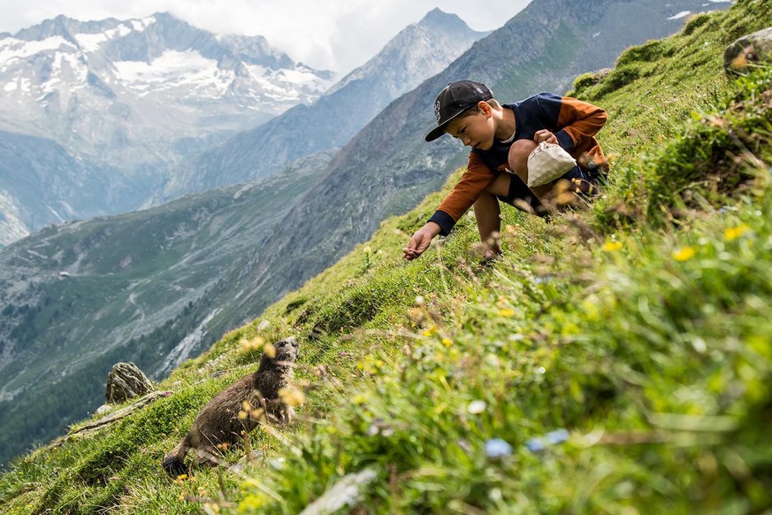 Murmeli füttern Saas-Fee Rauszeit