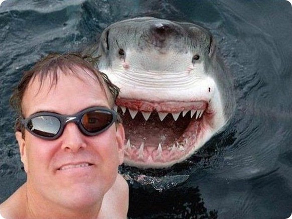 selfie extrem