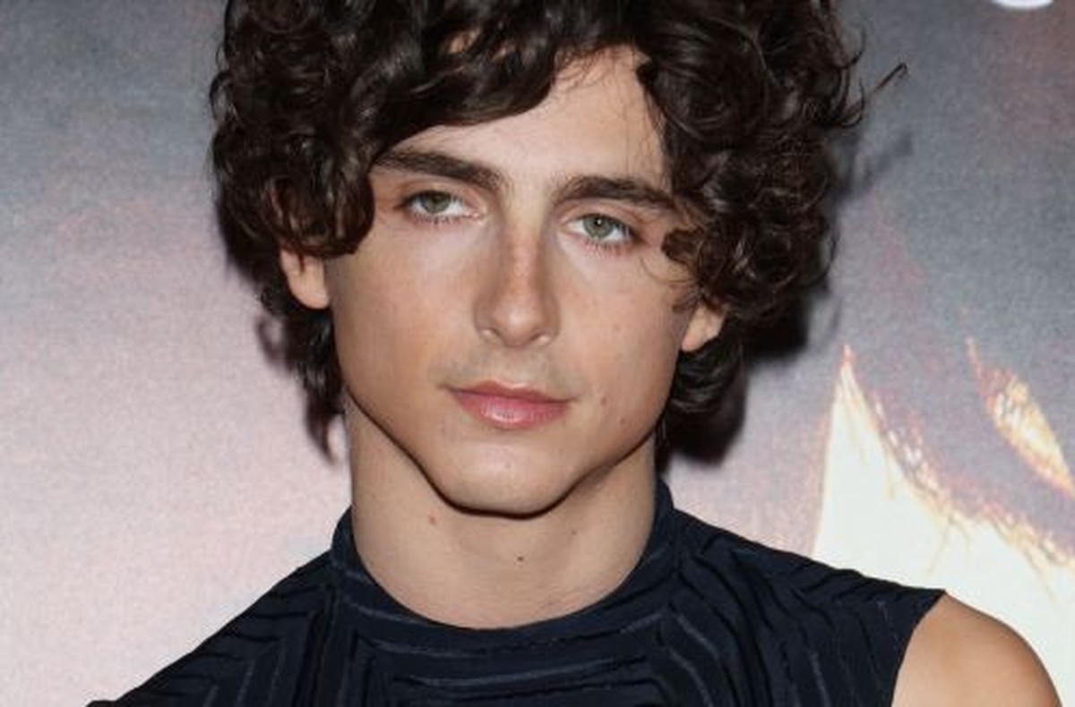 MILAN, ITALY - NOVEMBER 12: Timothée Chalamet attends the photocall for "Bones And All" on November 12, 2022 in Milan, Italy. (Photo by Stefania D'Alessandro/Getty Images)