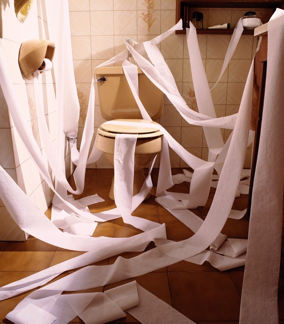 Toilettenpapier