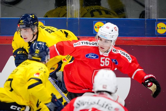 241109 Jacob Peterson of Sweden and Tim Berni of Switzerland during the Karjala Tournament Ice hockey, Eishockey game between Sweden and Switzerland on November 9, 2024 in Helsingfors. Photo: Kalle Pa ...