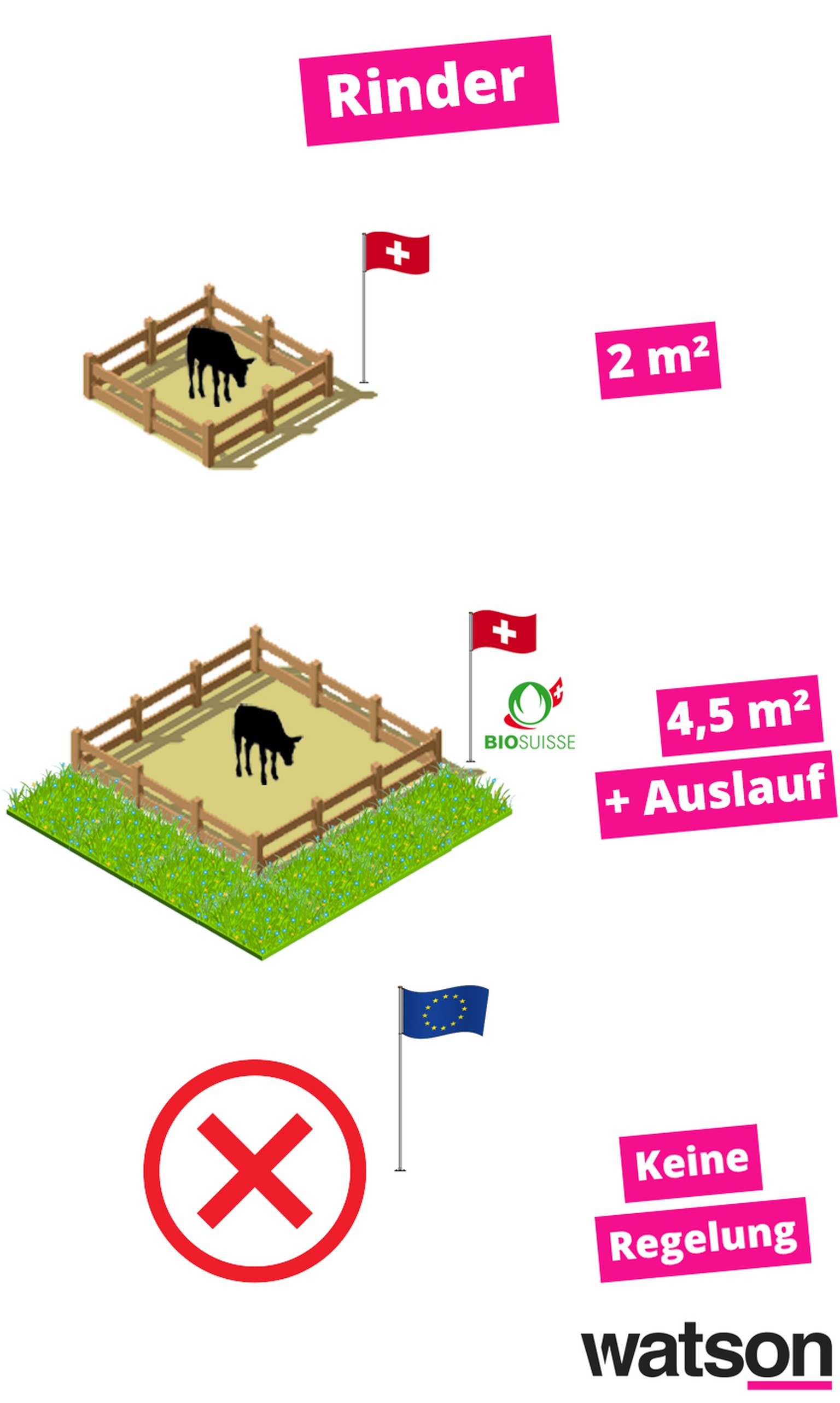 Grafiken Schweiz EU Nutztier Landwirtschaft Rinder Hühner Schweine