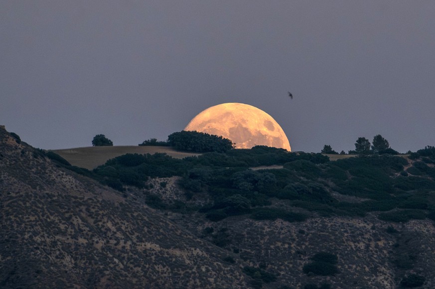 epa10779013 View of the 'Super Sturgeon Moon' from Alcala de Henares, Madrid, Spain, 31 July 2023. EPA/Fernando Villar