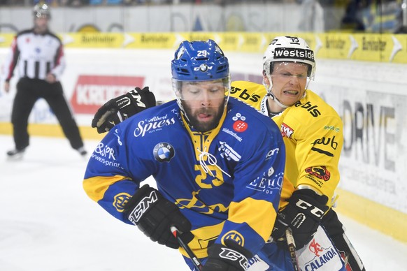 Beat Forster von Davos, vorne, gegen Ryan Lasch von Bern, beim Eishockey-Qualifikationsspiel der National League A zwischen dem HC Davos und SC Bern, am Freitag, 13. Januar 2017, in der Vaillant Arena ...