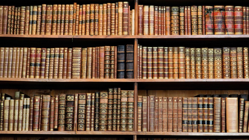 Bücherwand, Büchergestell, alte Bücher, Buchrücken (Symbolbild)