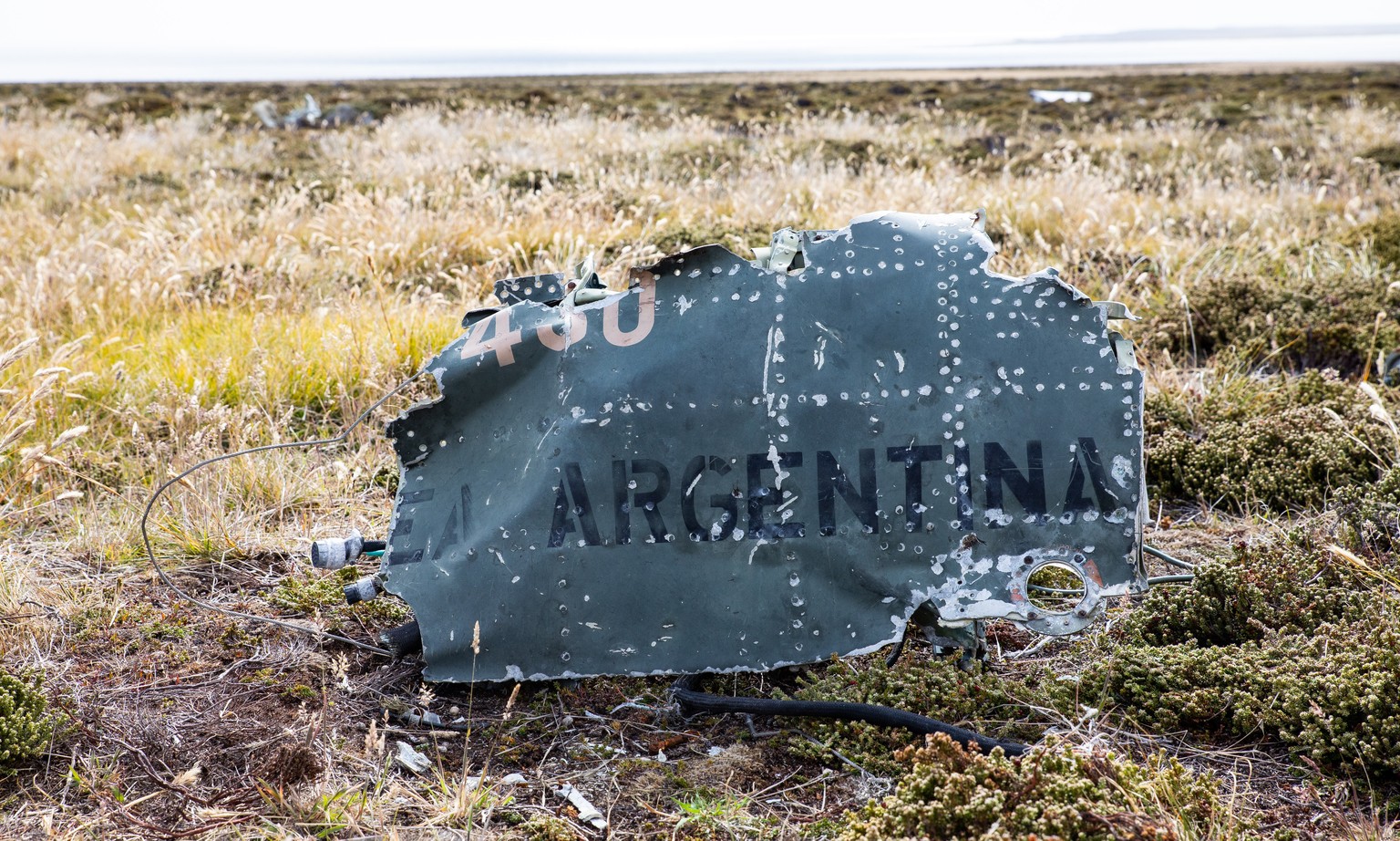 pebble island falkland inseln pinguine falklandkrieg flugzeugwrack küste insel strand