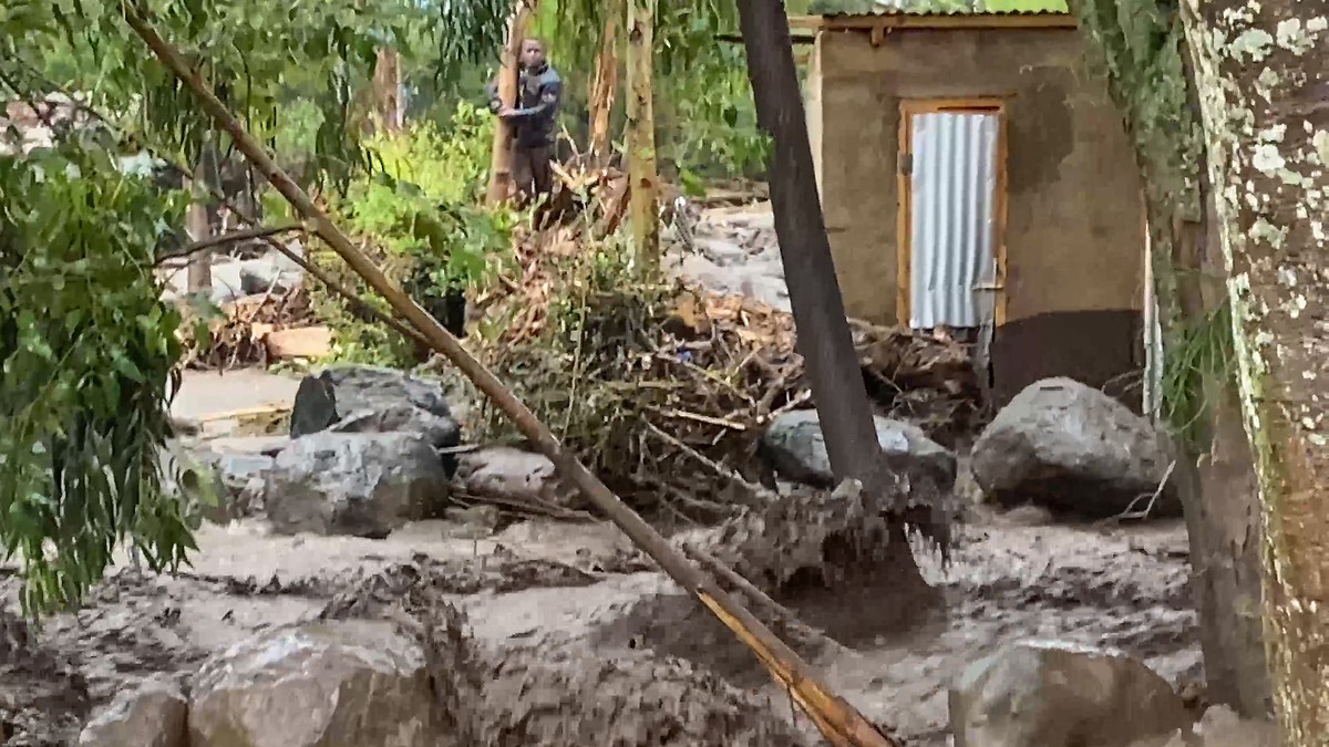 At least 68 dead after massive landslide in northern Tanzania Host irritates climate conference, boost for nuclear power plants – day four of COP28