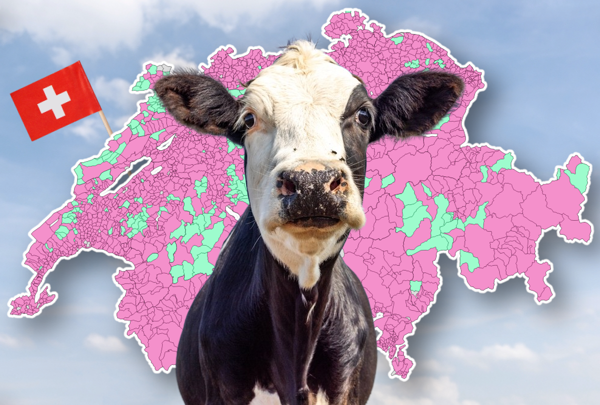 Dans ces communes suisses, il y a plus de vaches que d&amp;#039;habitants