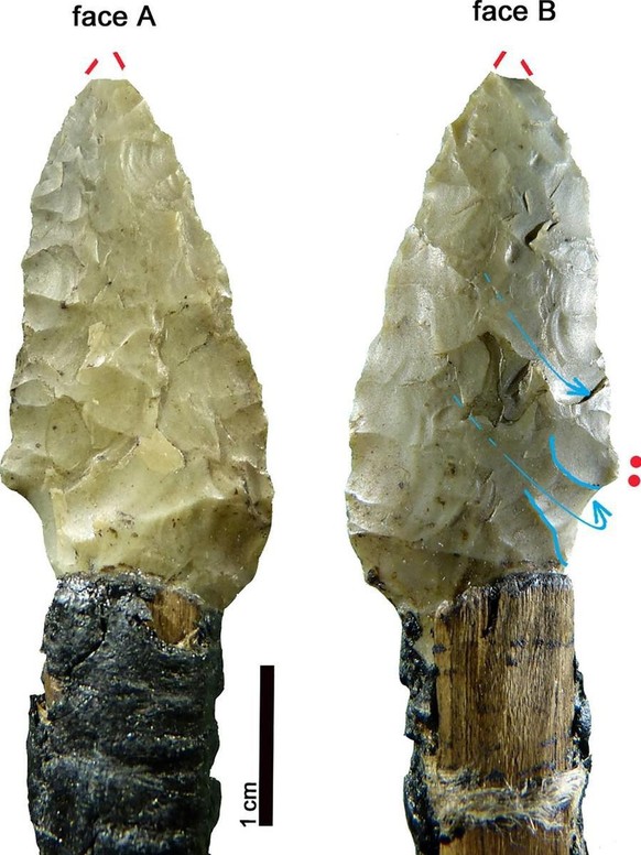 Eine von Ötzis Pfeilspitzen (Vorder- und Rückseite), die mit Birkenpech am Schaft befestigt wurde.
https://commons.wikimedia.org/wiki/File:%C3%96tzi_Arrowhead_12.tif