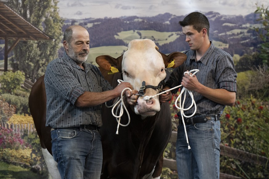 Die Zuechter Jakob, links, und Roland Linder mit Adrio von der Metzg, Siegermuni des Emmentalischgen Schwingfest bei der Munitaufe, am Freitag, 4. August 2023, in Burgdorf. Im Juli und August naechste ...