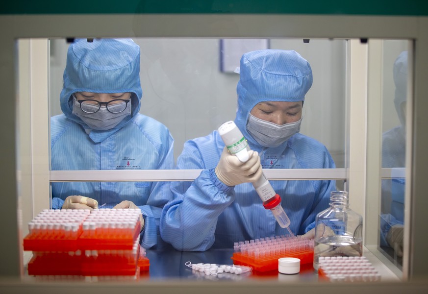 epa08174557 Production workers of Jiangsu Shuoshi Biotechnology Co. Ltd. carry out work on a new coronavirus (2019) nucleic acid detection kit (fluorescence PCR) in Taizhou City, Jiangsu Province, Chi ...
