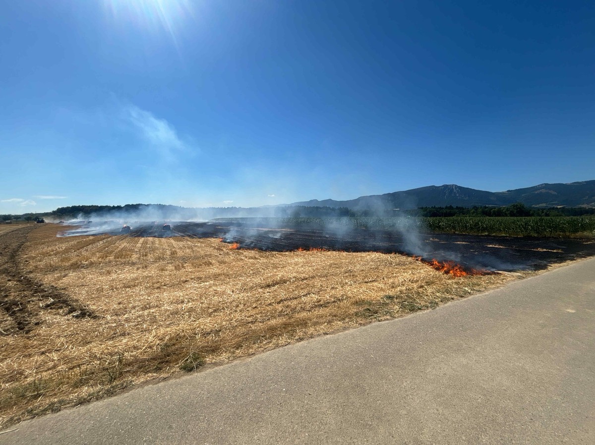 Brand Feld Deitingen SO 11.7.26