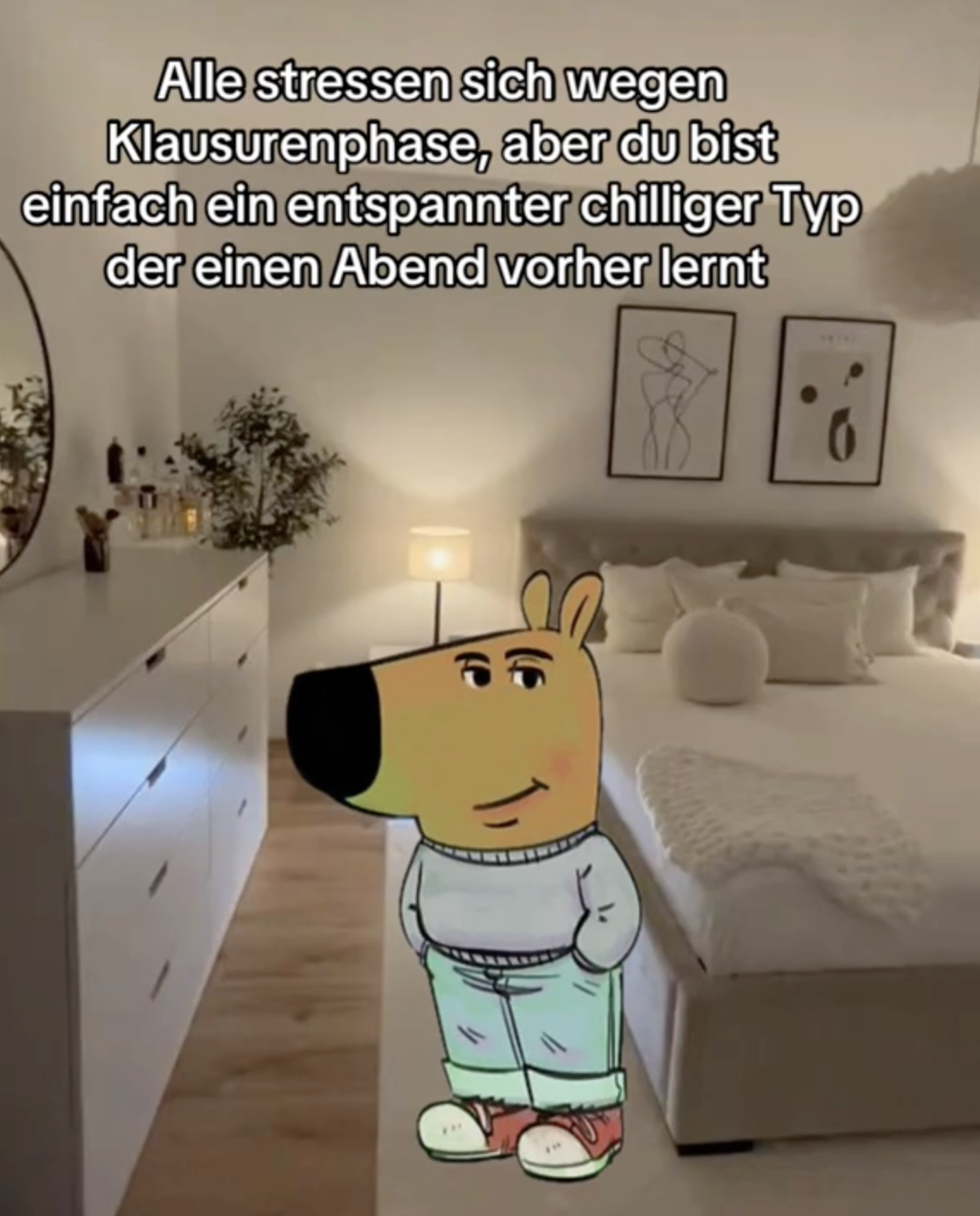 Chill Guy, Entspannter Typ