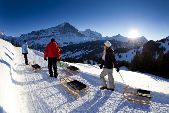 Faulhorn–Grindelwald schlittelpiste schlitteln