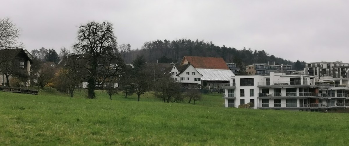 Abschnitt 2: Ob auf beiden Abschnitten eine PV-Anlage das Ortsbild nachhaltig zerstört, wird das Gericht entscheiden müssen.