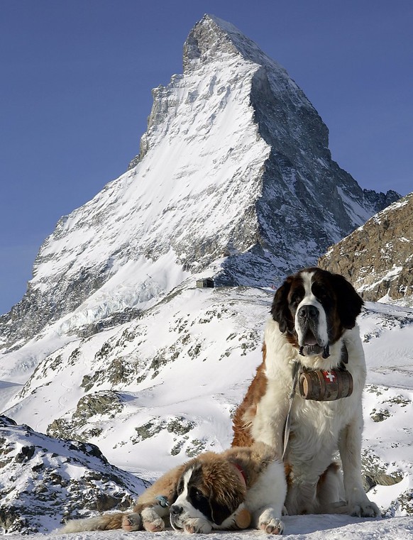 So lieben Touristen die Schweiz.