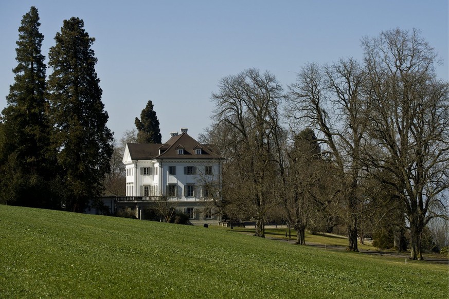 Streitpunkt Nr. 1: Schloss Eugensberg von Rolf Erb in Salenstein.