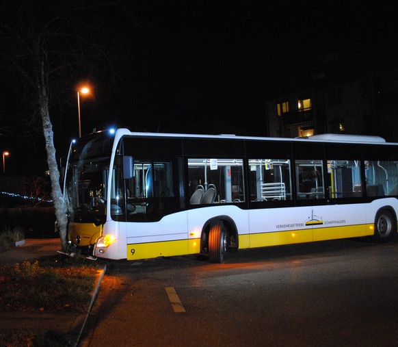 Der Linienbus kollidierte mit einem Baum.