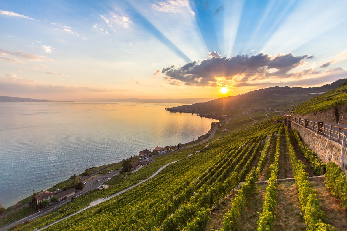 Das Lavaux. Mehr muss man dazu nicht sagen.