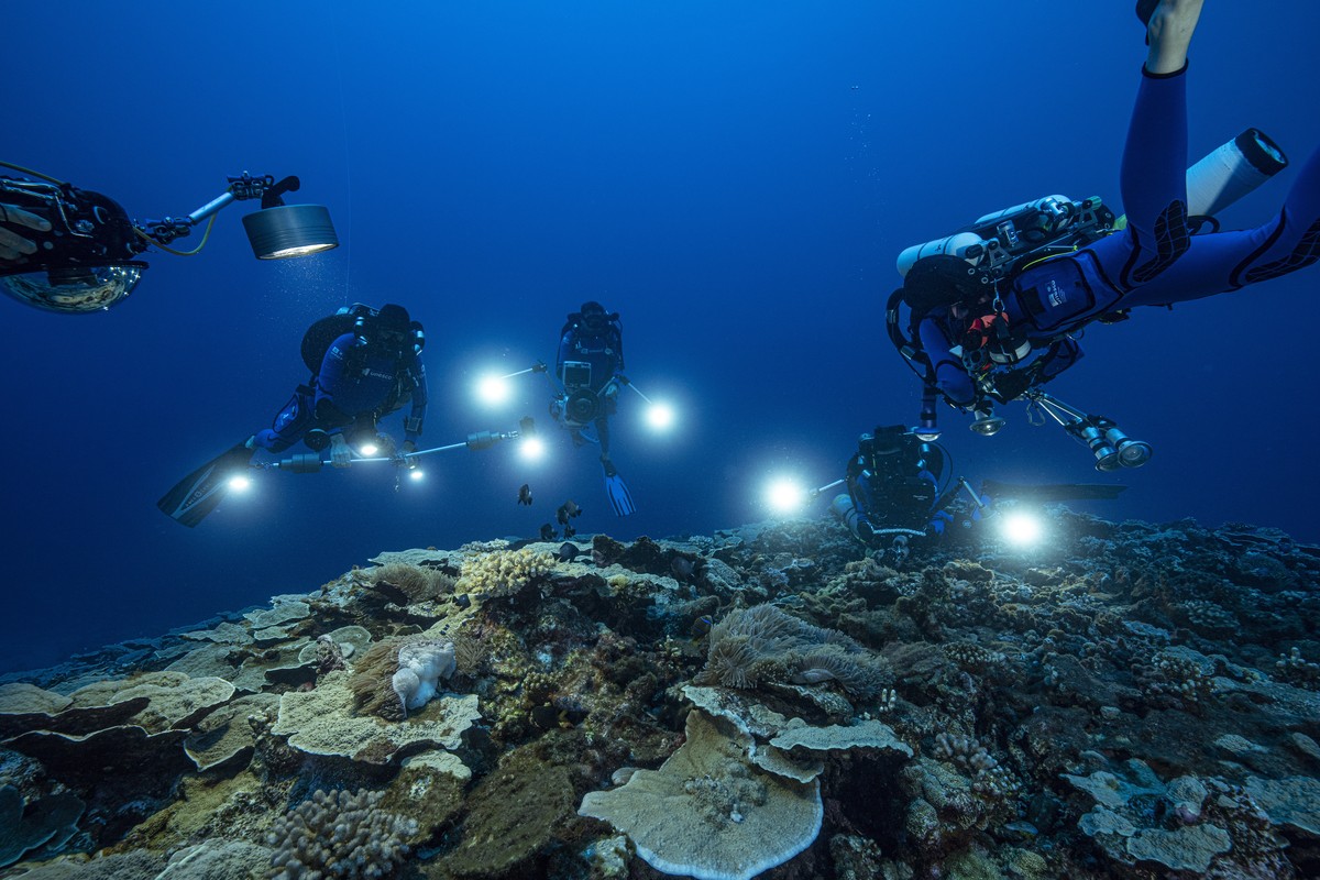 In this photo provided by @alexis.rosenfeld, researchers for the French National Centre for Scientific Research study corals in the waters off the coast of Tahiti of the French Polynesia in December 2 ...