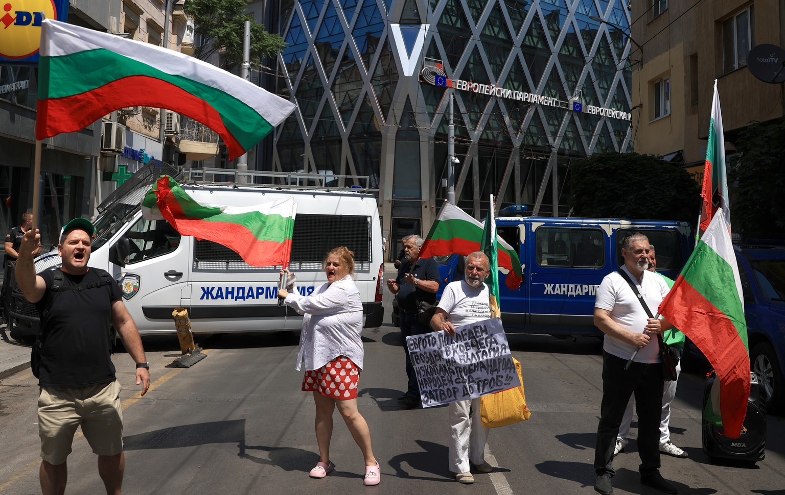 epa12224178 People wave national flags during a protest against the adoption of the Euro, in front of the European Parliament building in Sofia, Bulgaria, 08 July 2025. The European Parliament and, fo ...