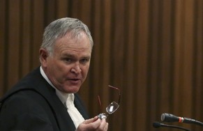Staatsanwalt Nel geht Pistorius an.