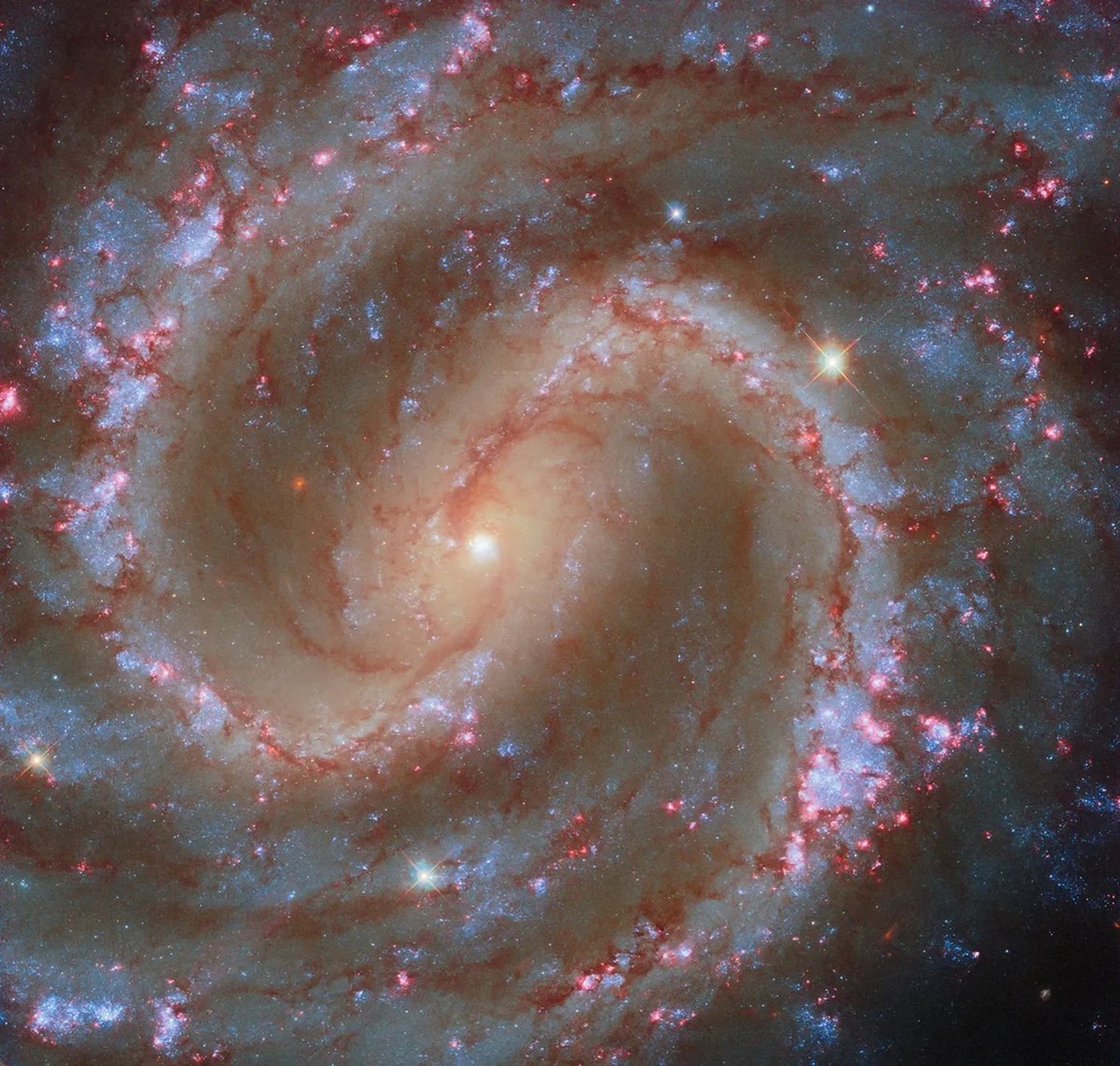 Hubble Seeks Clusters in ‘Lost Galaxy’
This NASA/ESA Hubble Space Telescope image features the spiral galaxy NGC 4535, which is situated about 50 million light-years away in the constellation Virgo (t ...