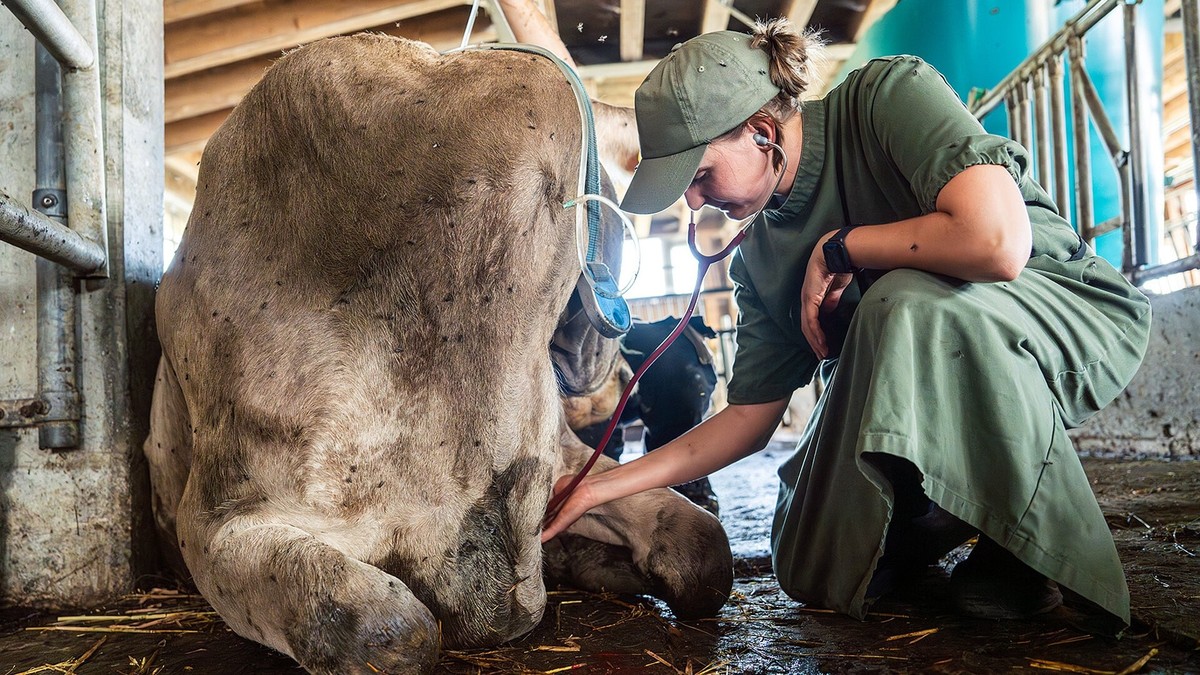 Fenaco poursuit son expansion dans l’agriculture suisse.