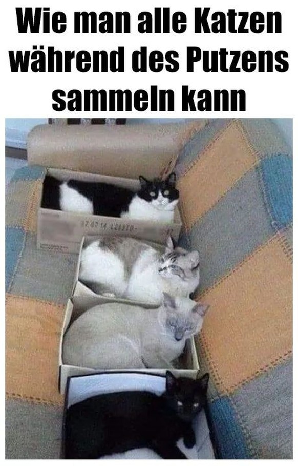 Picdump #5 тАУ es kann einfach nicht genug Memes geben\nLifehack ЁЯШВ