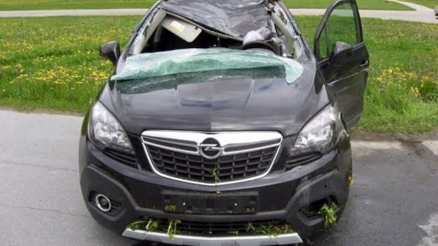 Das vom Hirsch getroffene und völlig zerstörte Auto.