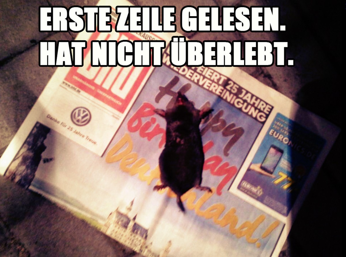 Bild