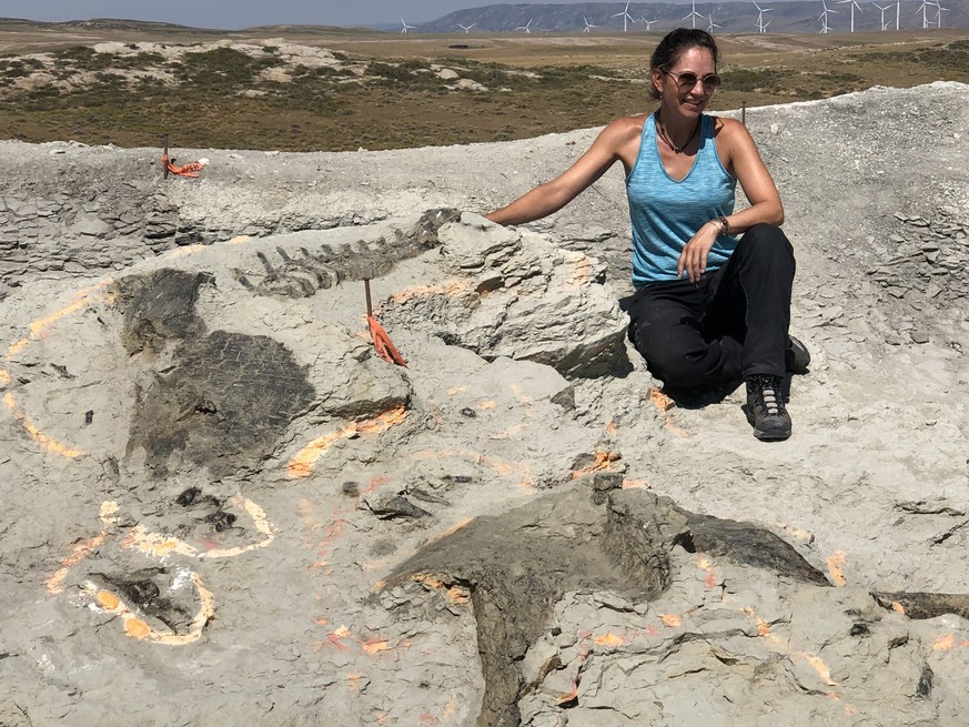 “An Incredible Feeling” – Dino Hunter on Excavation Fever, Stegosaurs and the T-Rex