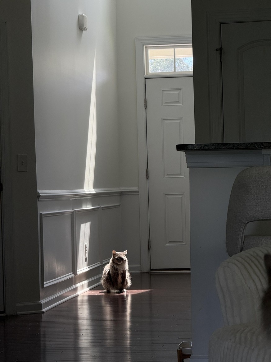 Everything the light touches is yours
accidental renaissance
https://www.reddit.com/r/AccidentalRenaissance/comments/1vtvycg/everything_the_light_touches_is_yours/