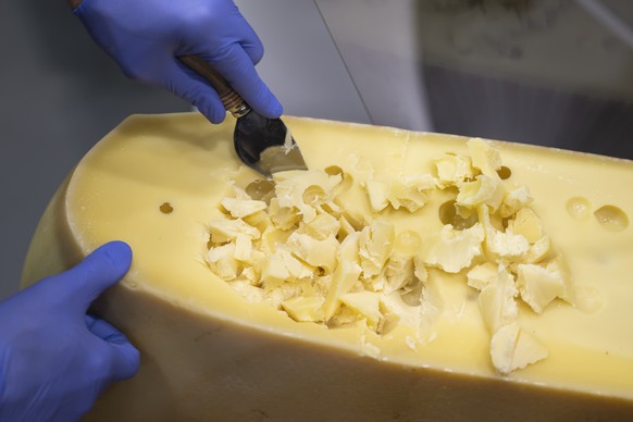 An exhibitor prepares an Emmentaler cheese for tasting, during the 37th World Cheese Awards, at the Festhalle in Bern, Switzerland, November 13, 2025. More than 5,244 cheeses from 46 countries are com ...
