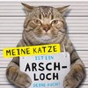 Schnurr Li